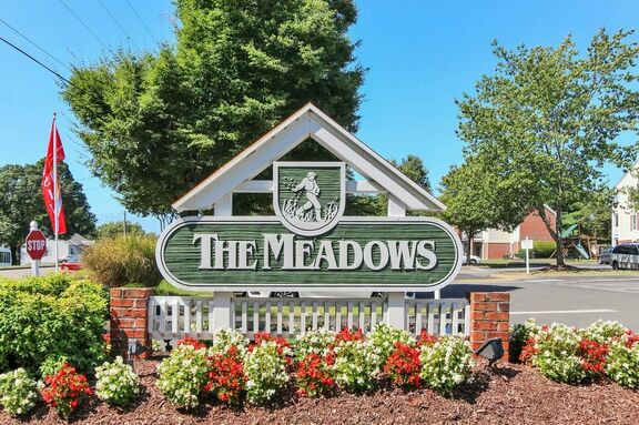 The meadows 15