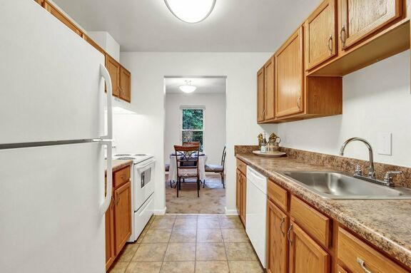 1bd Kitchen