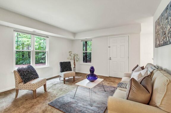 1bd Living Room