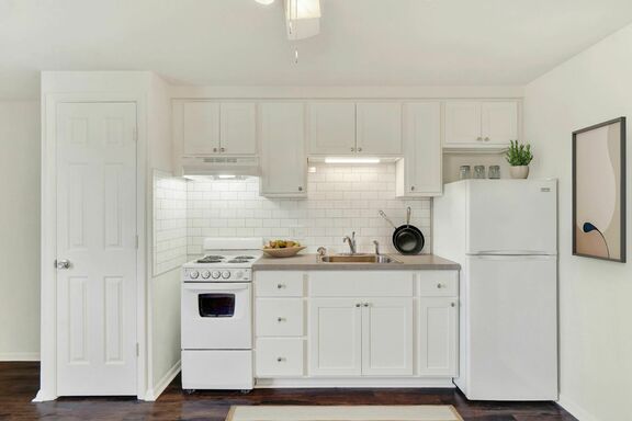 38 DSC00340 Kitchen rug items on counter and fridge top Final