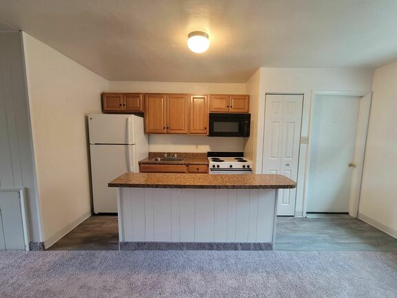 1br kitchen